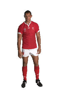 Rugby Union Sport Sticker by Rugby World Cup