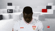 Line Up Smile GIF by Bundesliga