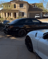 Mene GIF