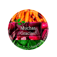 Thanks Gracias Sticker