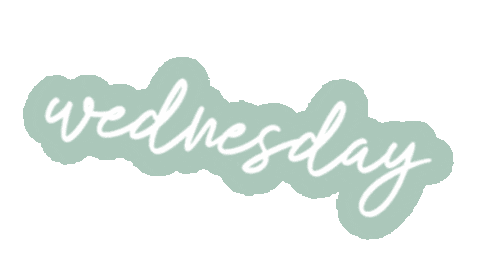 ajenericadventure wednesday day of the week meal planning jeneric Sticker