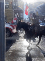 Protesters on Horseback Wave Trump Flag in Downtown Ottawa