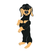 Dachshund Sticker by Harmont&Blaine
