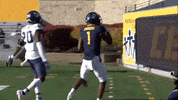 College Football GIF by WVU Sports