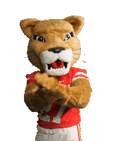 Celebrating Houston Cougars Sticker by University of Houston