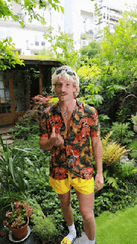 Tropischesjon GIF by Lidl