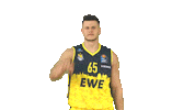 Ewe Baskets Basketball Sticker by EWE Baskets Oldenburg