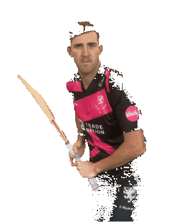 Ball Bat Sticker by Somerset County Cricket Club