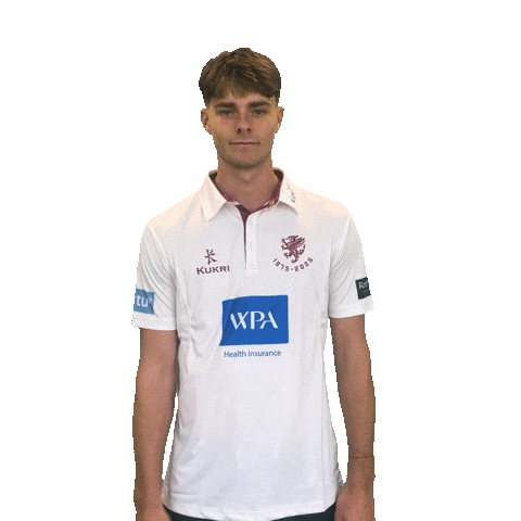 Ball Bat Sticker by Somerset County Cricket Club