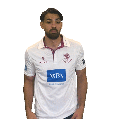 Ball Shrug Sticker by Somerset County Cricket Club