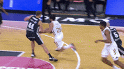 Real Madrid Basketball GIF by ACB