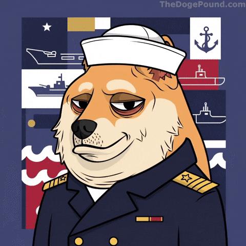 Proud I Know GIF by Doge Pound