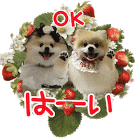 犬 Yes Sticker