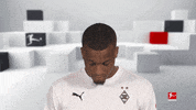 Happy Line Up GIF by Bundesliga