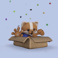 Happy Cat GIF