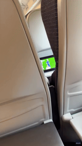 Train Passenger Watches Video Game Stream Instead of Euro 2024 Game