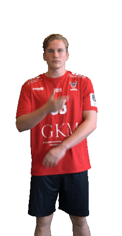 Game Goal Sticker by HC Rhein Vikings