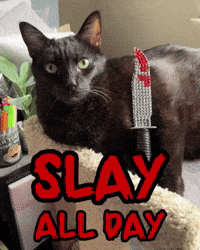 Black Cat Slay GIF
