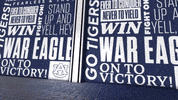 War Eagle Love GIF by Auburn Tigers