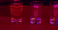 Party Tequila GIF by Josiah Siska