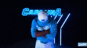 North Carolina Baseball GIF by UNC Tar Heels
