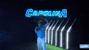 North Carolina Baseball GIF by UNC Tar Heels