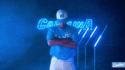 North Carolina Baseball GIF by UNC Tar Heels