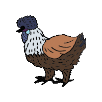 Silkies Seidenhuhn Sticker