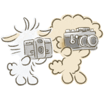 Happy Photo Shoot Sticker