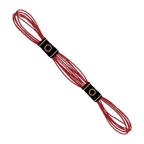 soedidee giphyupload dmc borduren streng Sticker