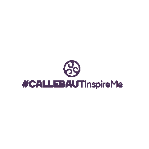 BarryCallebaut giphyupload chocolate choco callebaut Sticker