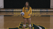 Volleyball Bison GIF by NDSU Athletics