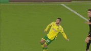 NorwichCityFC ncfc norwich city otbc GIF