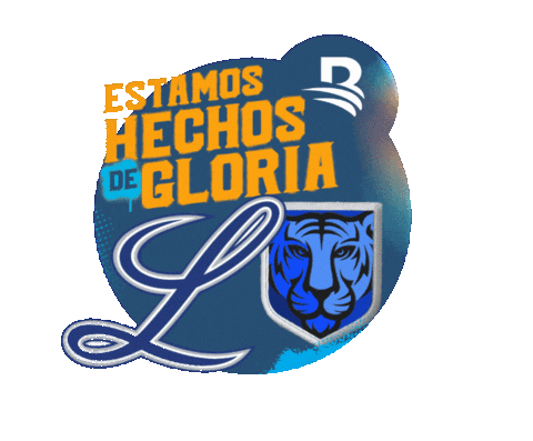 Pelota Invernal Sticker by Banreservas