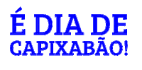 Futebol Capixaba Sticker by futebolcapixabaoficial