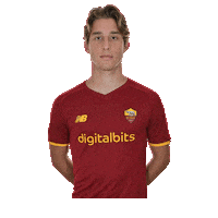 Sticker Roma Stickers Sticker by AS Roma