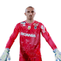 AngersSCO angers sco angerssco bernardoni Sticker