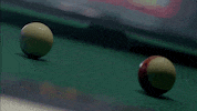 Netflix Pool GIF by Bloodline