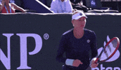 Zvonareva GIF