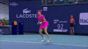 Zvonareva GIF