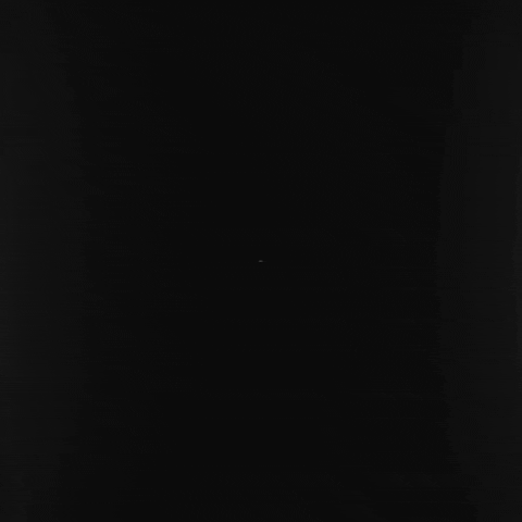 Animation 3D GIF by Raz