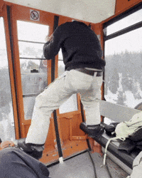 Ssv GIF