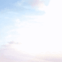 GIF by Sketchie.