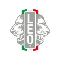World Help Sticker by Leo Club Italia