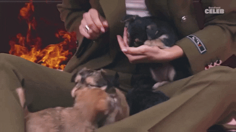 Zendaya GIF by BuzzFeed