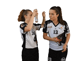 Floorball Sticker by Český florbal