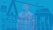 Football Tor GIF by ChemnitzerFC