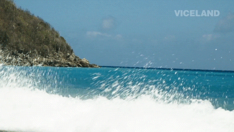 beach waves GIF by NOISEY