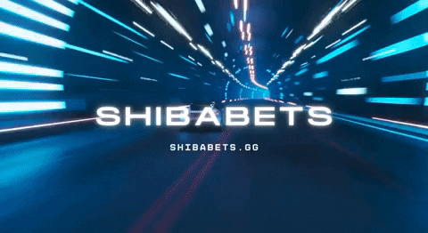 Shiba GIF by SHIBABETS.GG