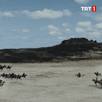 Dirilis Ertugrul Trt1 GIF by WASS Medya